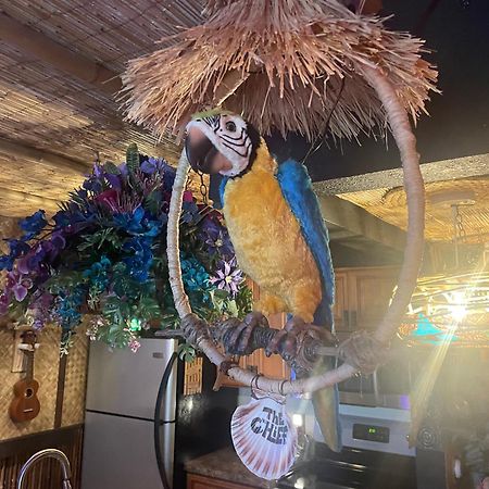 The Kondo Tiki Tampa Exteriör bild